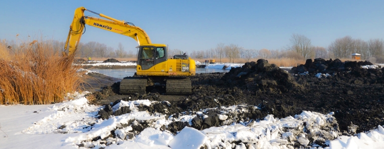 Pohled do lužního lesa na soutoku Moravy a Dyje.