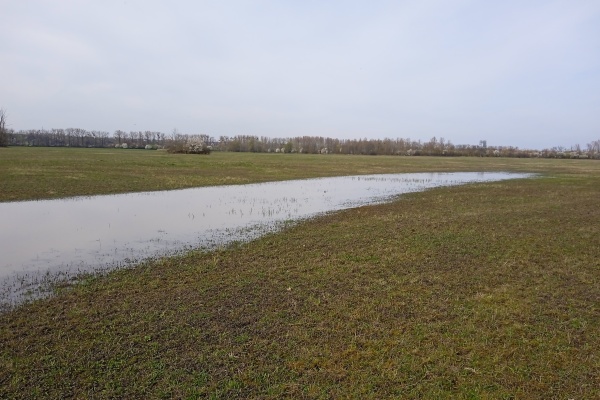 Polní rozliv u Moravské Nové Vsi