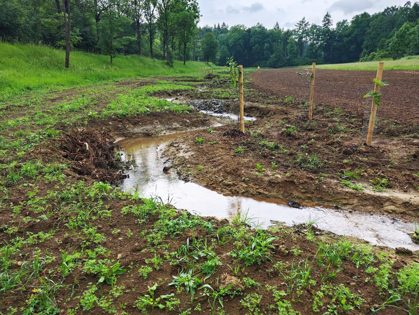 Revitalizace Banínského potoka