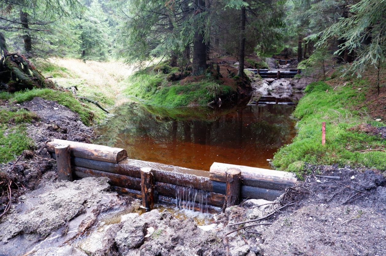 Revitalizace pramenné části Černého potoka, II. etapa
