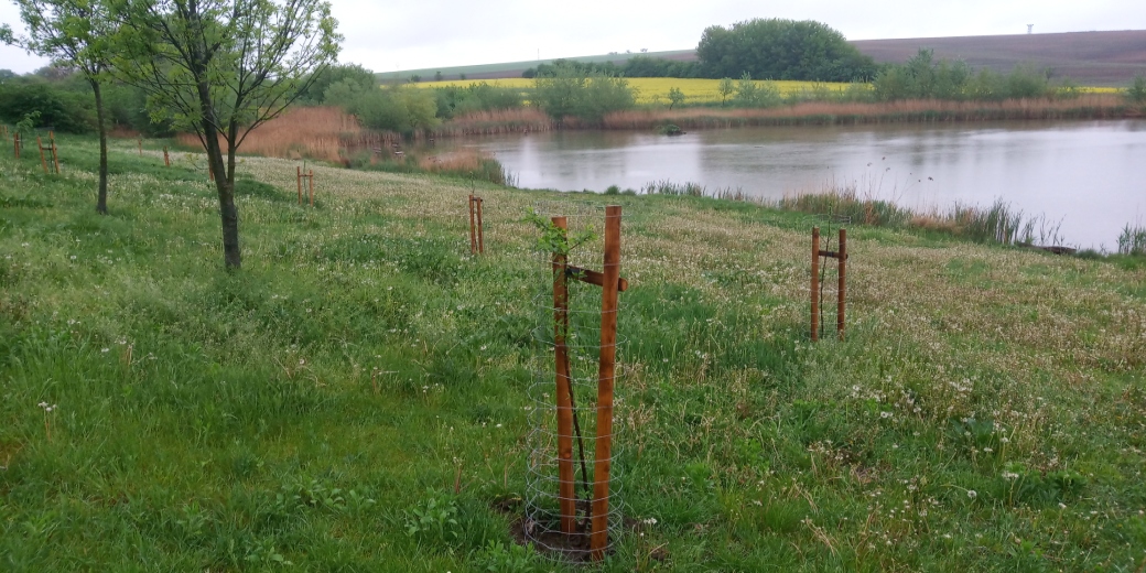 Mokřad. Ilustrační foto Pavla Pokorná