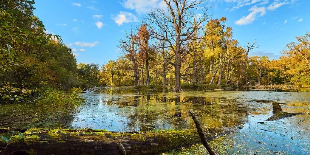 CHKO Soutok z letecké perspektivy.