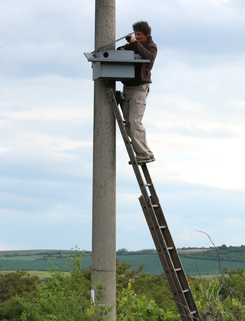 Kontrola budky ve vinohradu