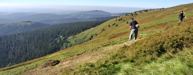 sečení v Jeseníkách, foto: Vít Slezák