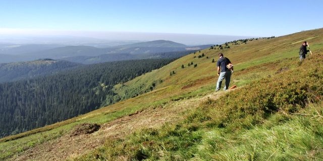 sečení v Jeseníkách, foto: Vít Slezák