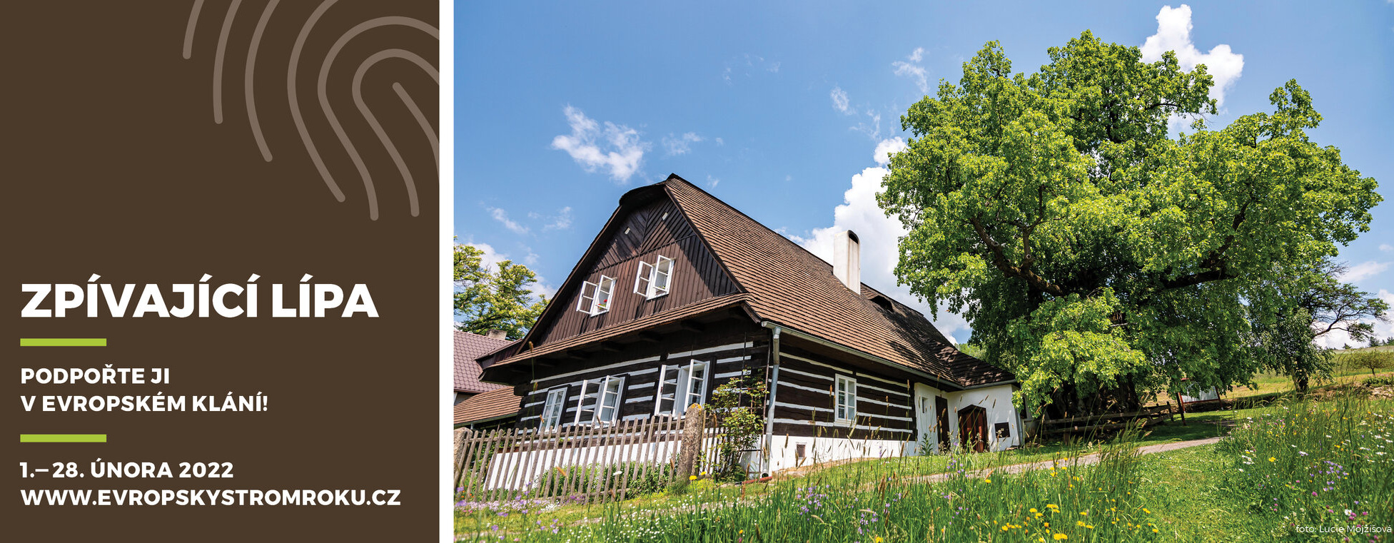 Strom roku - Lucie Mojžíšová