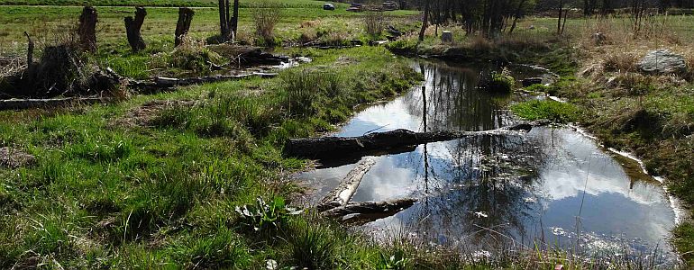 Zatopená niva uprostřed louky.
