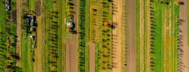 Úzká políčka z ptačí perspektivy.