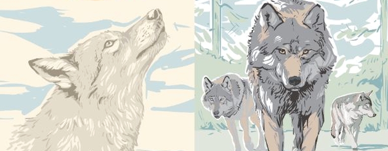 Wolfs exhibition prepared by NCA CR