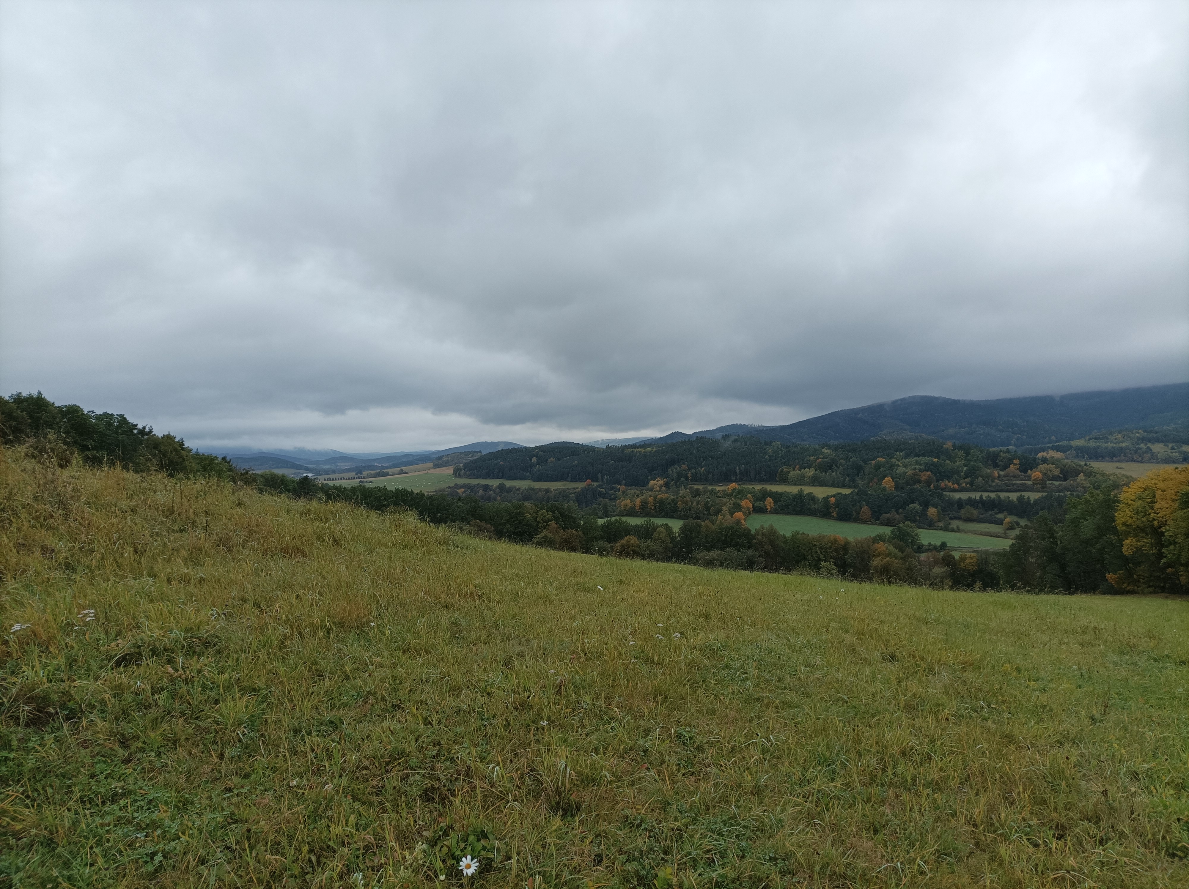 Pochod Blanským lesem 2026.