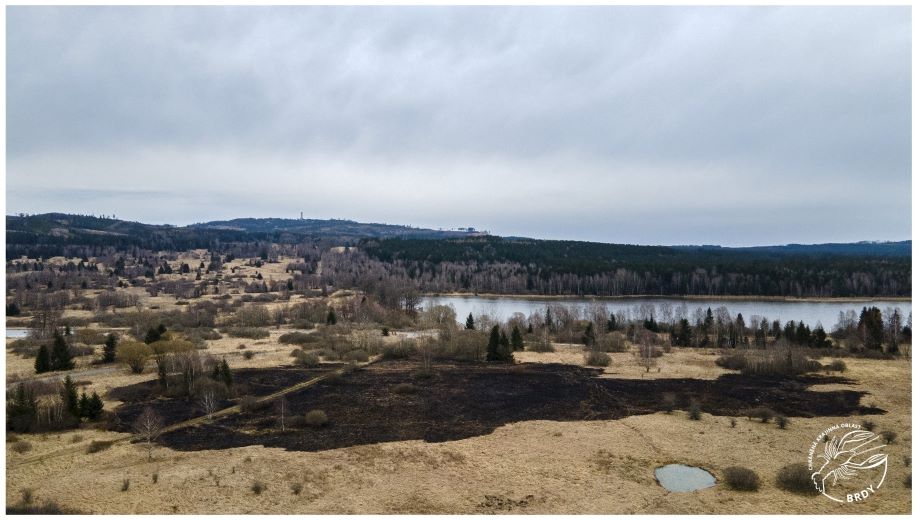 Pohled z dronu na vyhořelou plochu v louce těsně po jarním požáru.