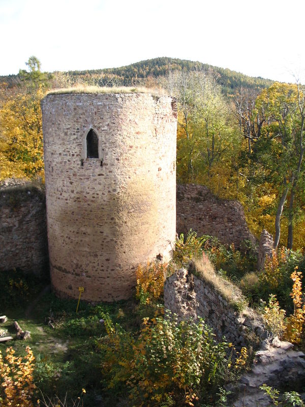 hrad Valdek