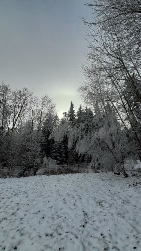 Zasněžená krajina Brd.