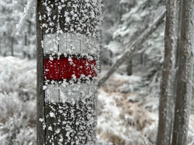 Turistický ukazatel na Korbové.