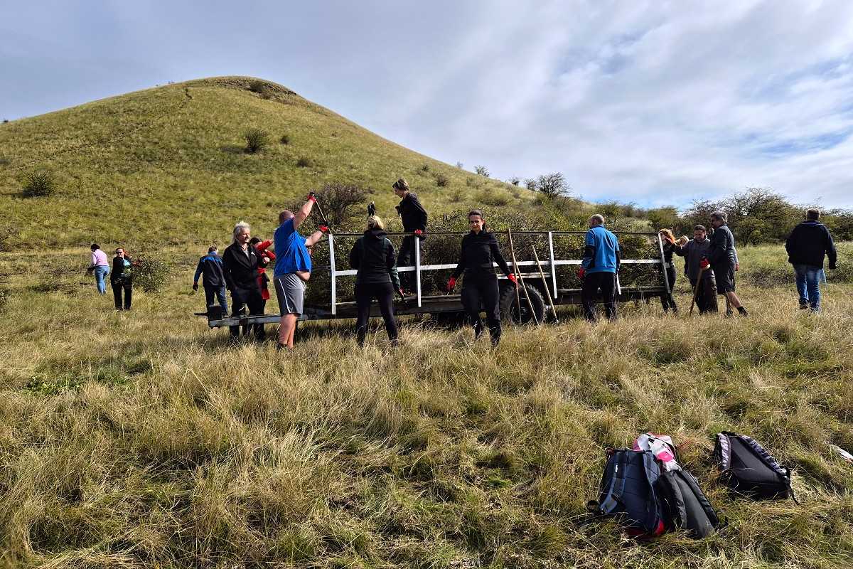 Dobrovolníci uklízejí a nakládají vyřezanou dřevní hmotu na vozík