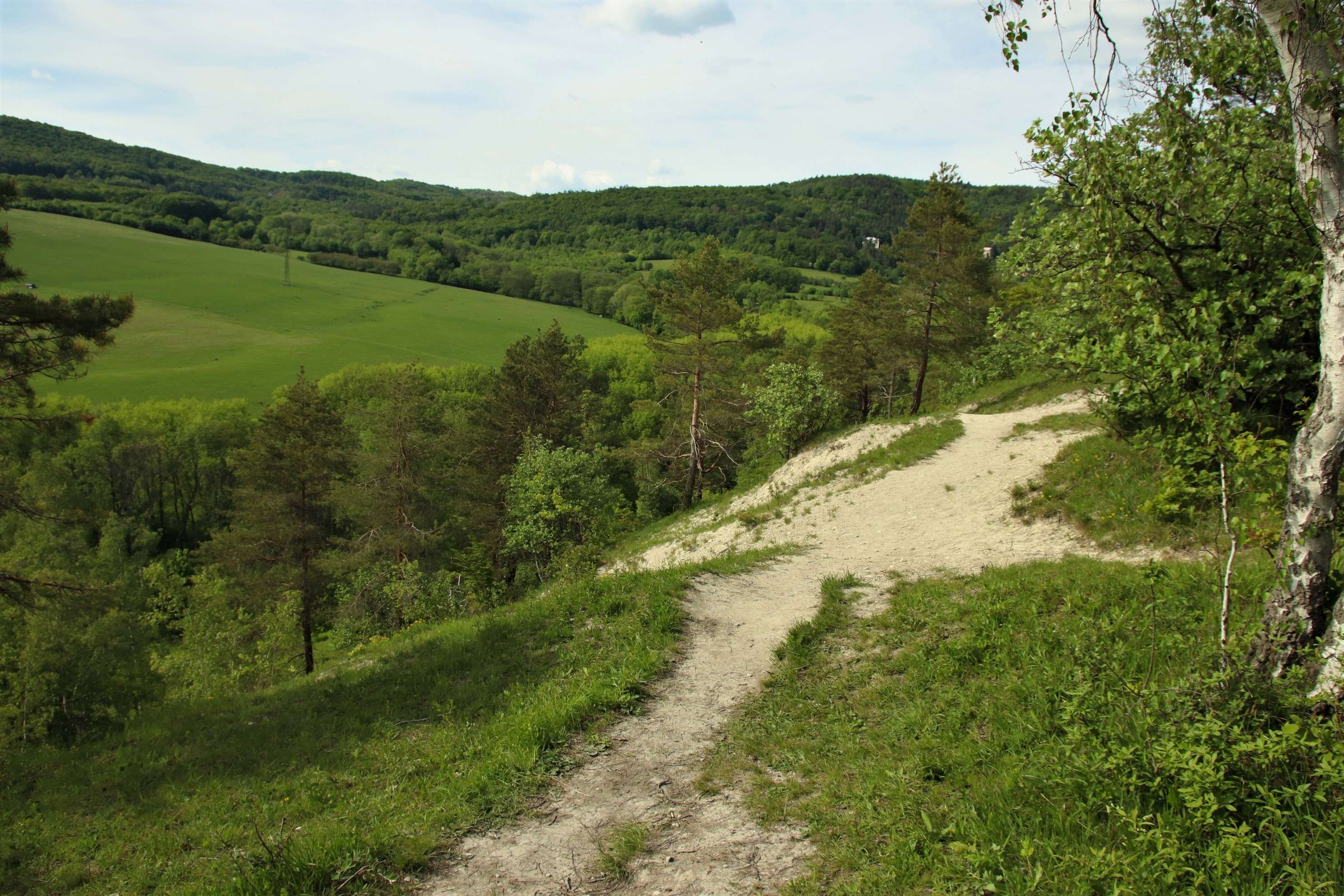 Pohled na Bílé stráně, foto: Ondřej Nitsch