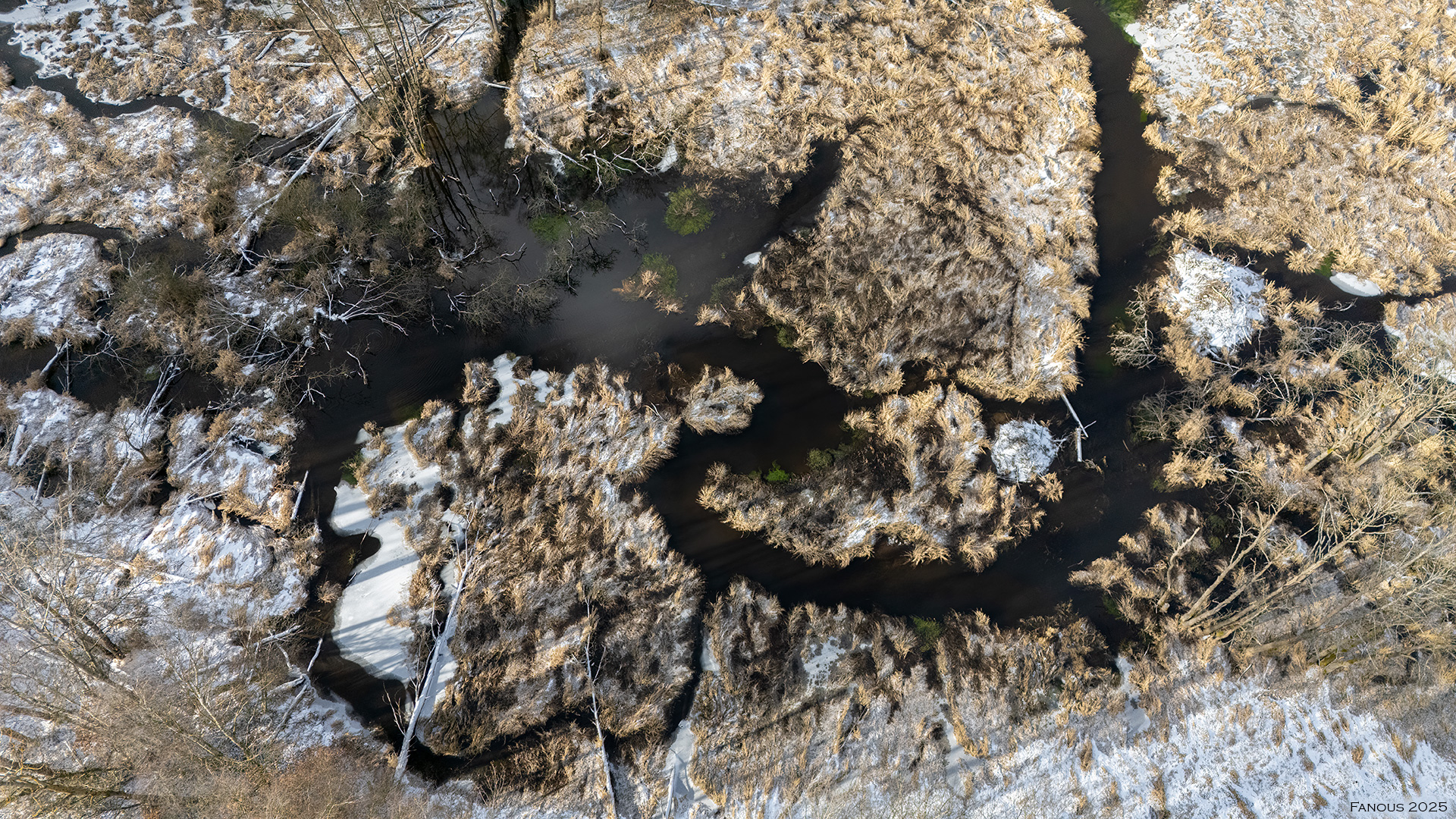 mokřady v bobří zátopě, foceno z dronu