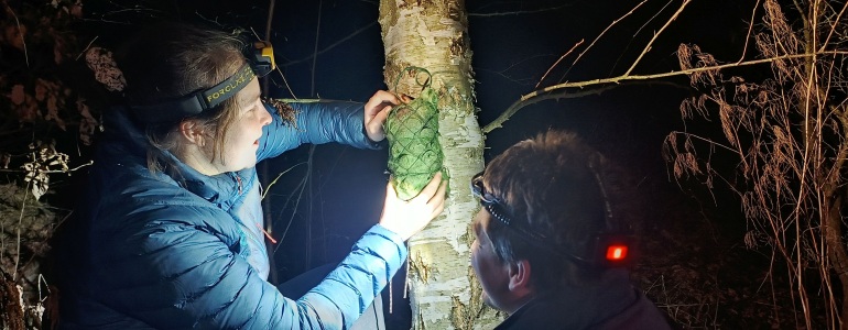 Diktafon pro monitoring sov se věší na strom.