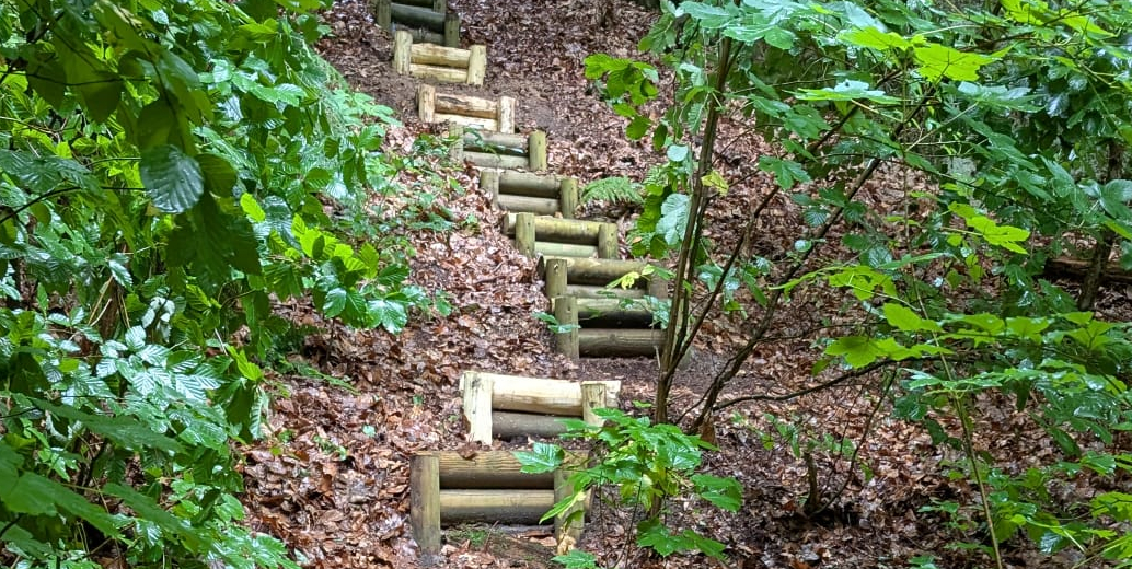 Nové dřevěné stupně na naučné stezce v Beškovském lese.