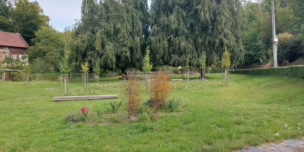 V Lobči byla z dotačního programu financována revitalizace zeleně na návsi.