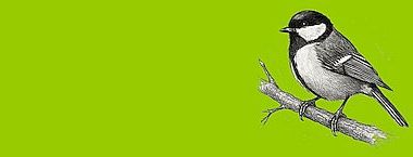 Vítání ptačího zpěvu 2026