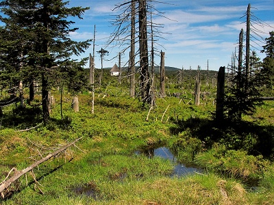 U Kunštácké kaple_Přírodní památka.
