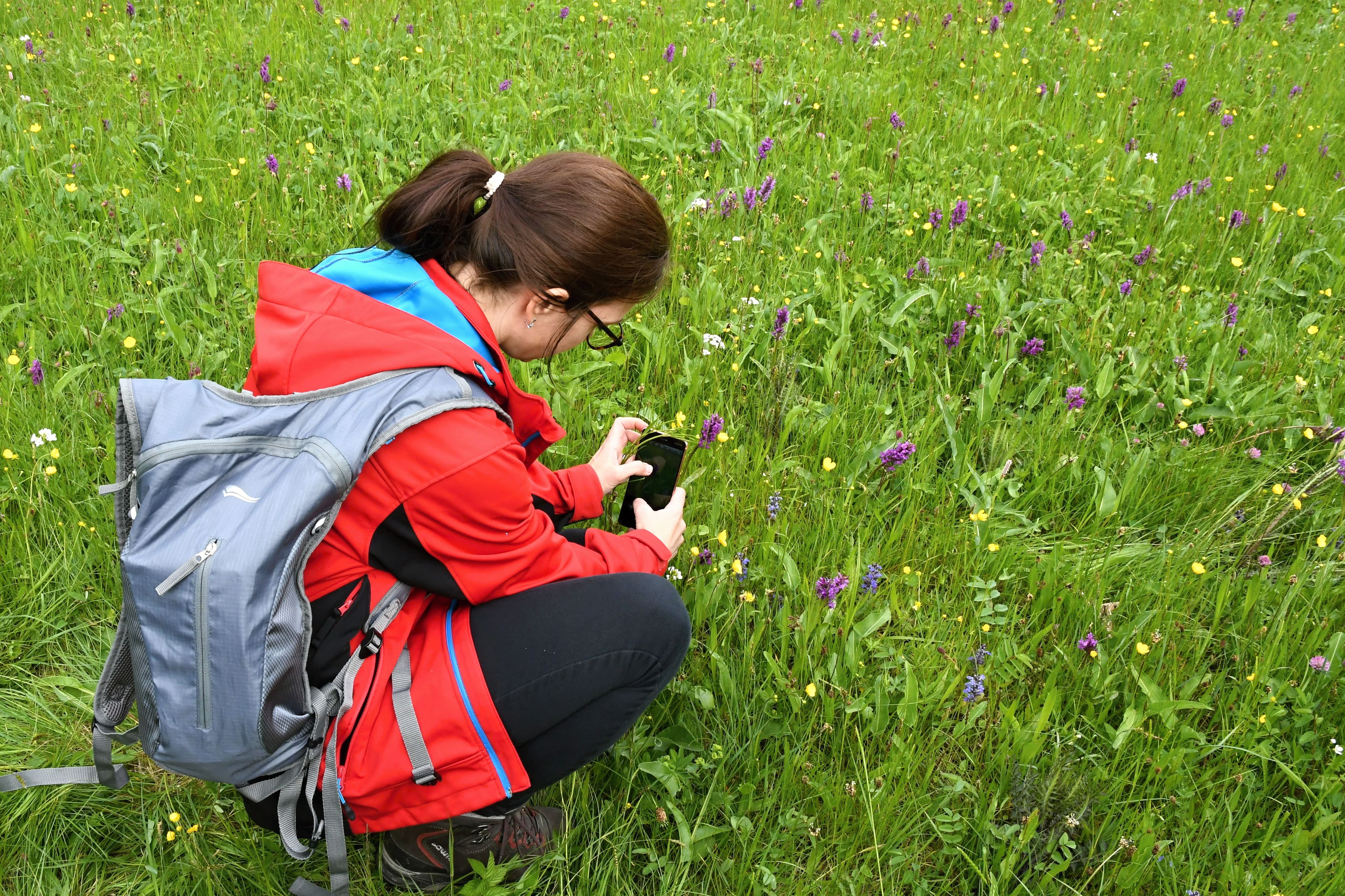 Orchideje ML_Coufalík