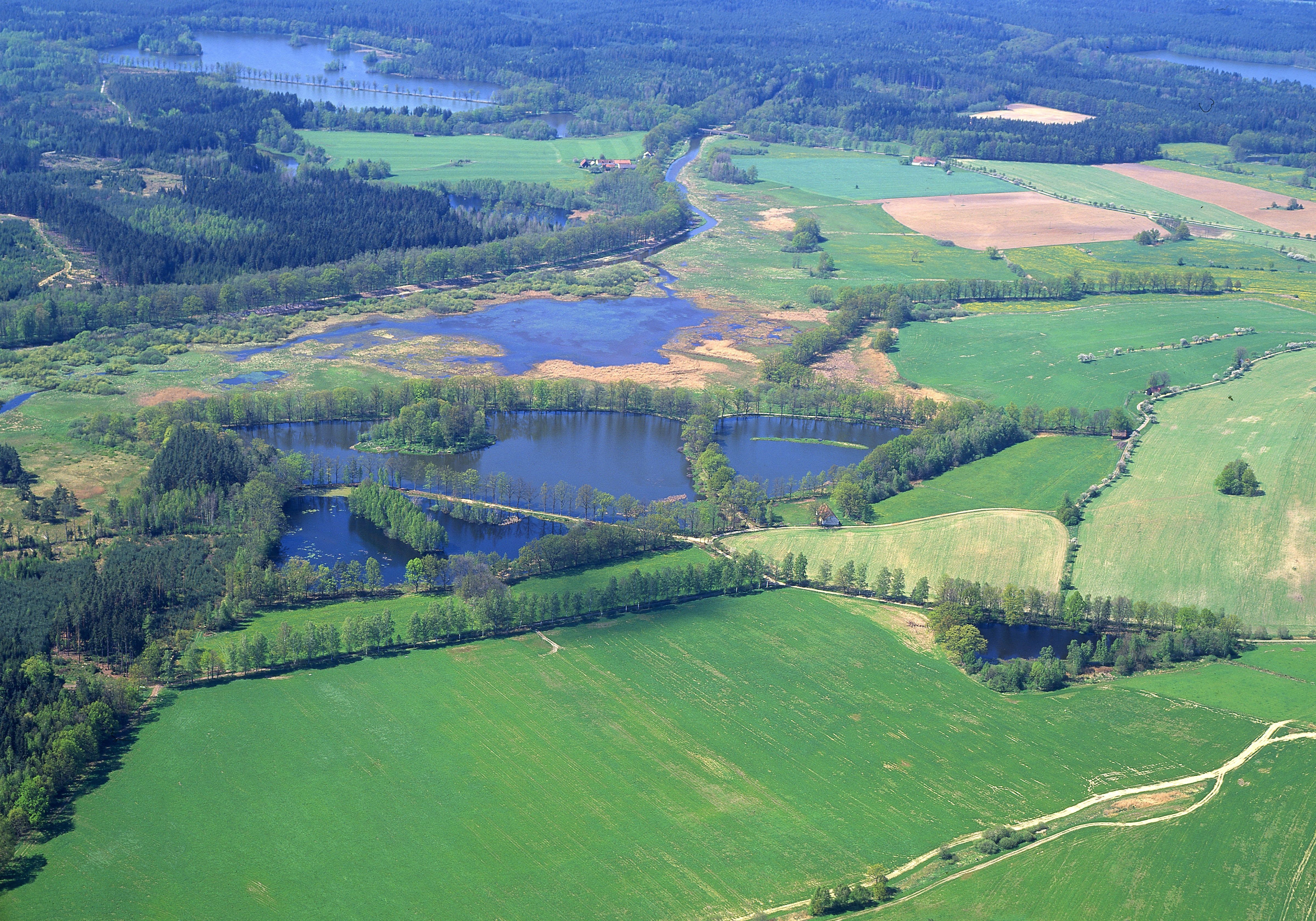 foto RNDr. Jan Ševčík, rybníky u Stříbce