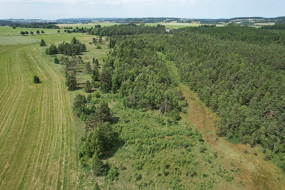 Aktuální letecký pohled na část Radostínského rašeliniště