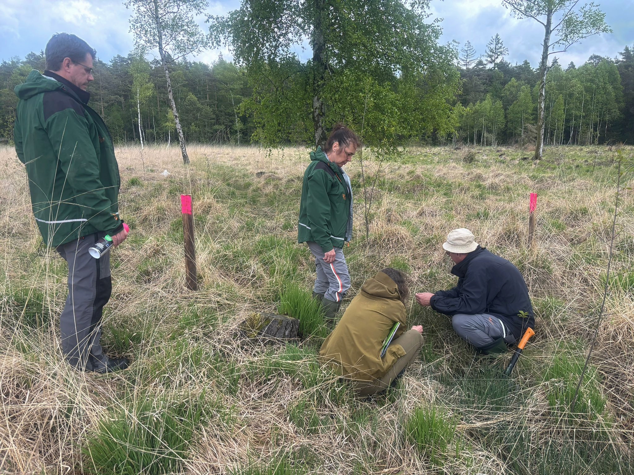 Vytipování nejhodnotnějších stanovišť