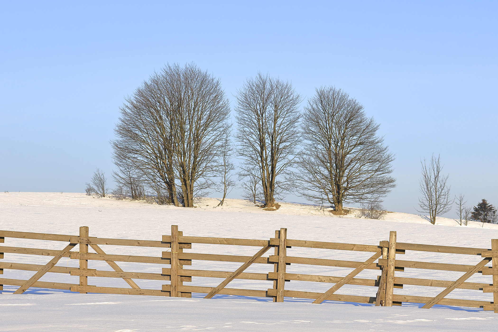 Zimní krajina v okolí Fryšavy