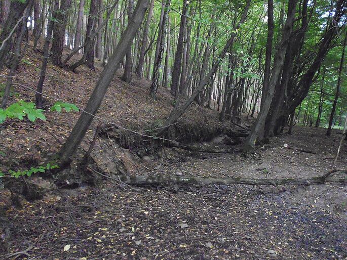 Chlumský potok v roce 2018