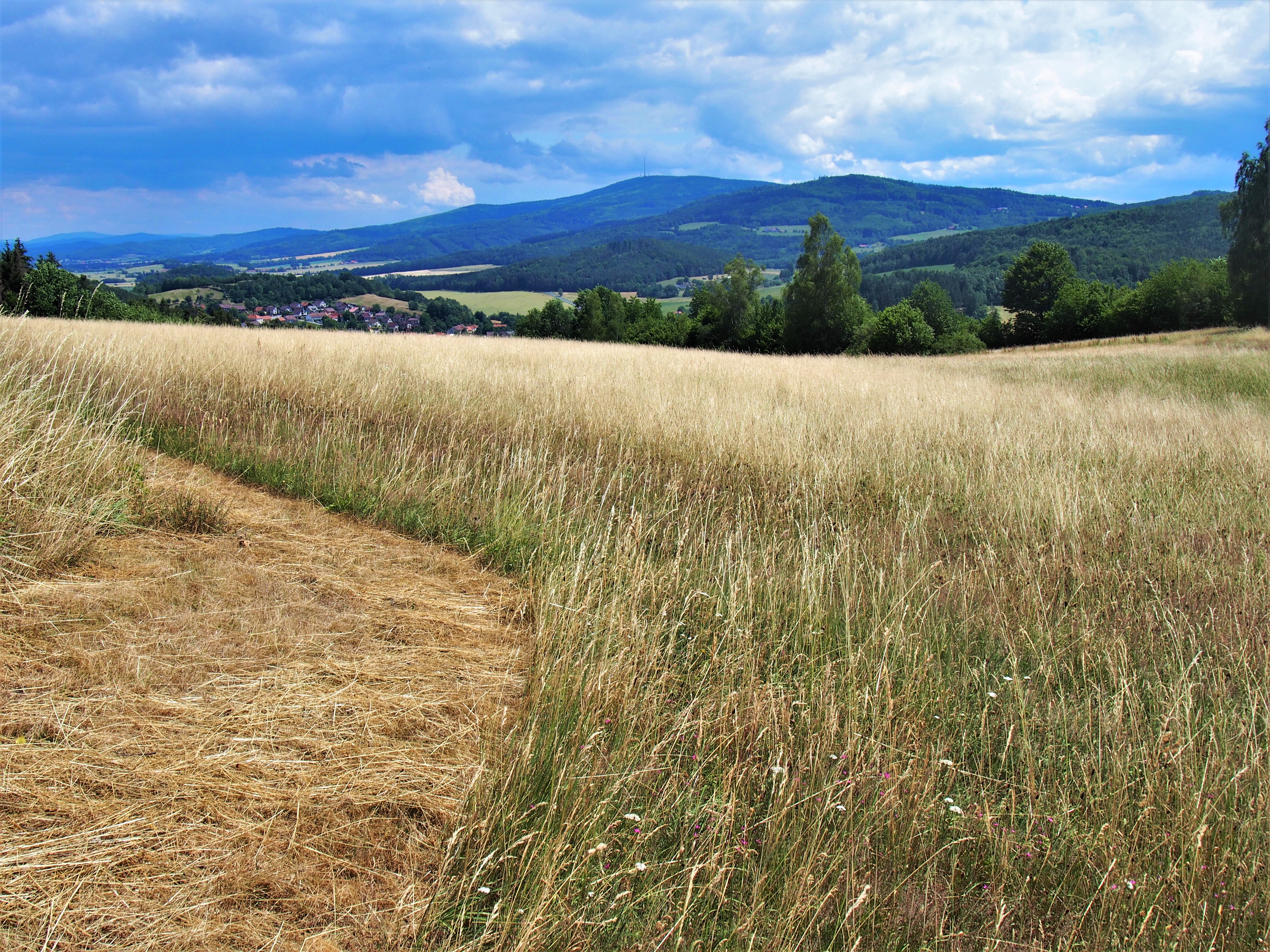 Výhled z naučné stezky od samoty U Matějky na Brložsko.