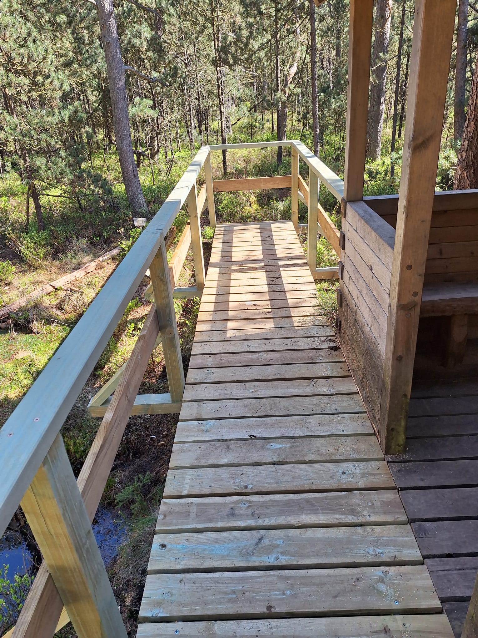 naučná stezka Podkovák - povalový chodník