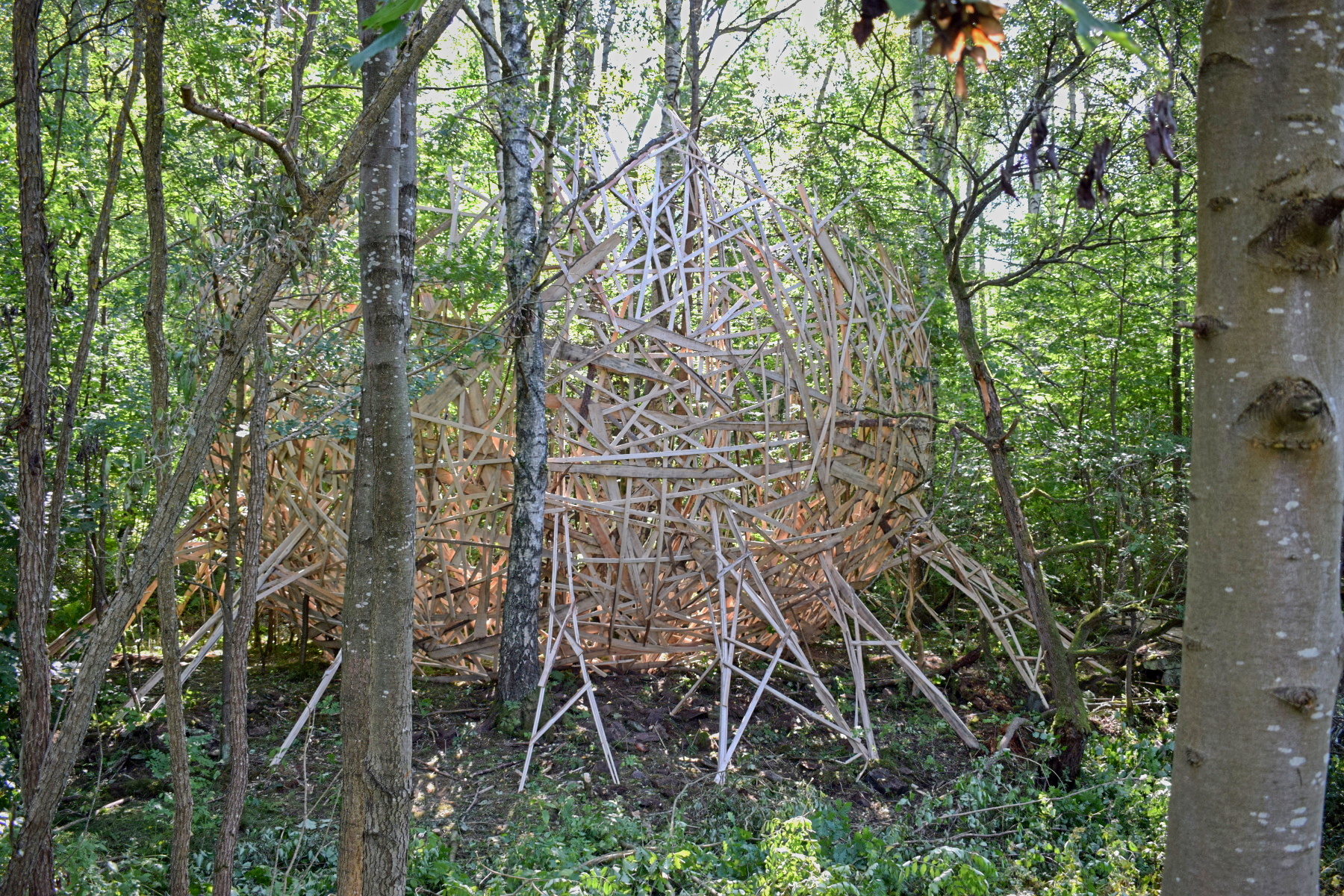 DČL 2023 landart instalace.