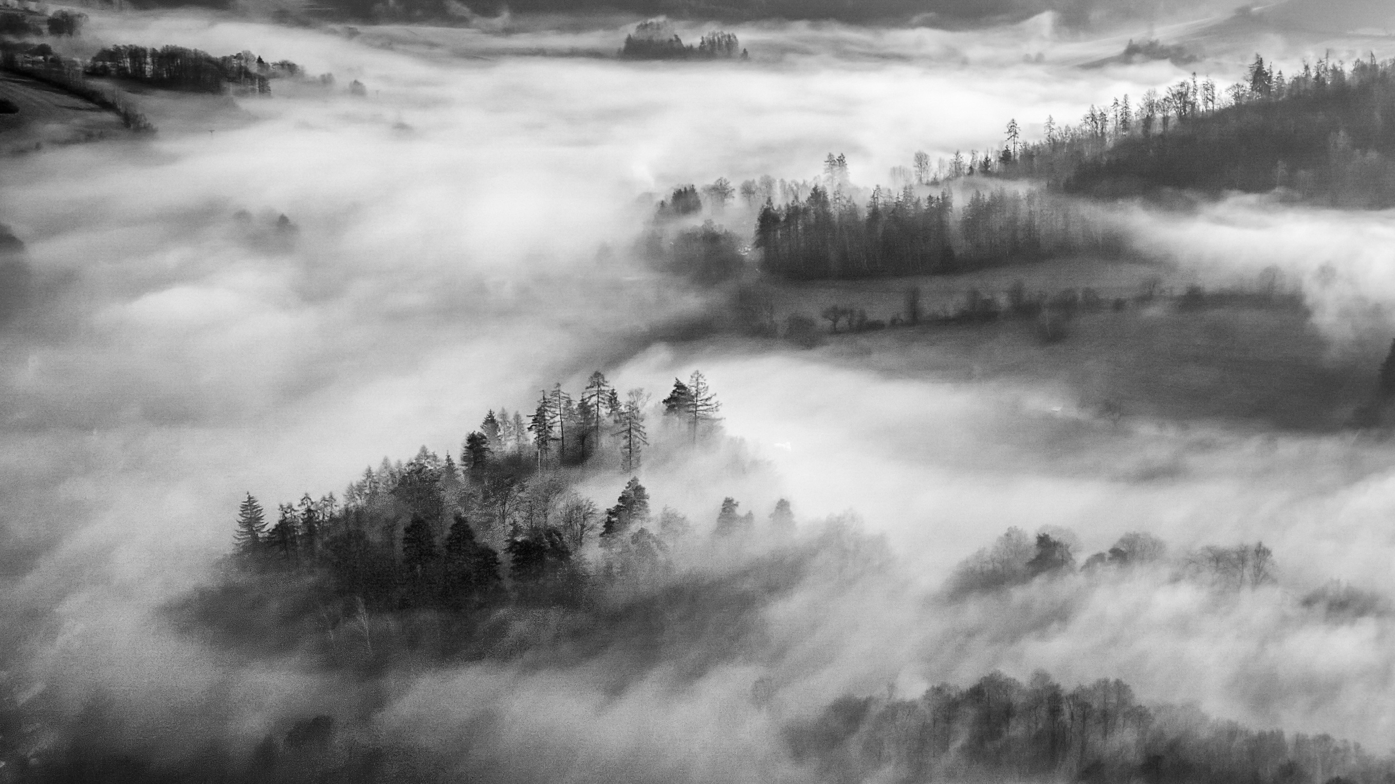 Soutěžní fotografie.