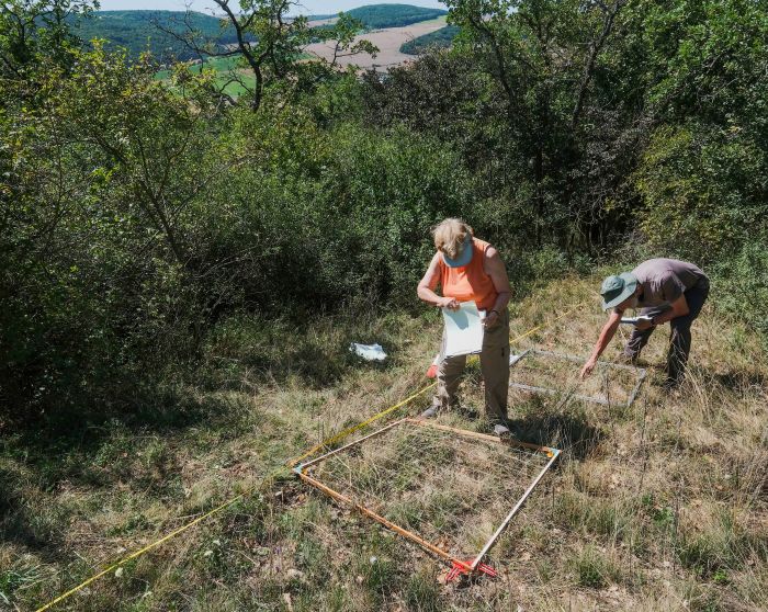 RNDr. Zdenka Hroudová stále každoročně odečítá výzkumné plochy, které založila v roce 1965. Foto Jindřich Prach, AOPK ČR